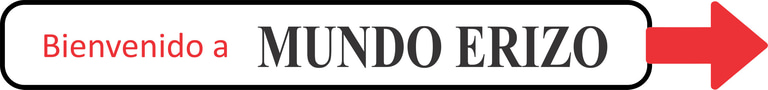 mundo erizo logo