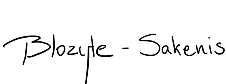 Blozyte-Sakenis Interiors logo