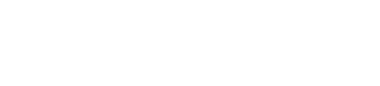 Dream Bride logo