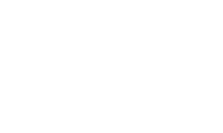 Roy Brothers of Texas logo