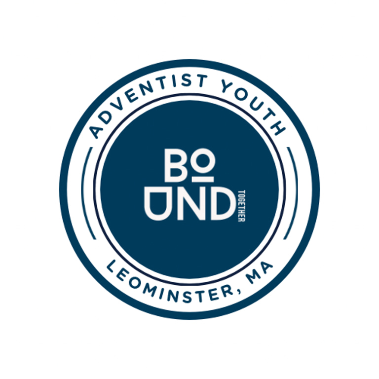 Leomisnter Spanaish Youth logo