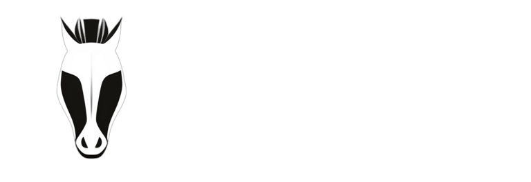 Güegüense logo