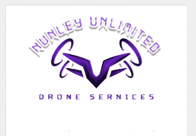 Nunley Unlimited LLC logo
