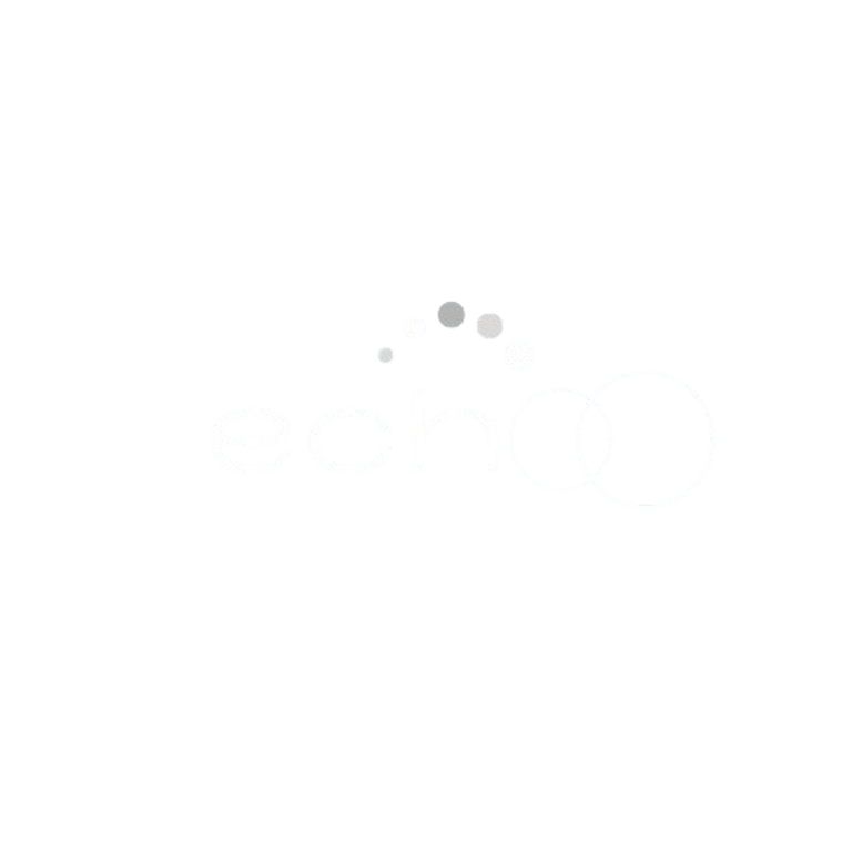 Echoo logo