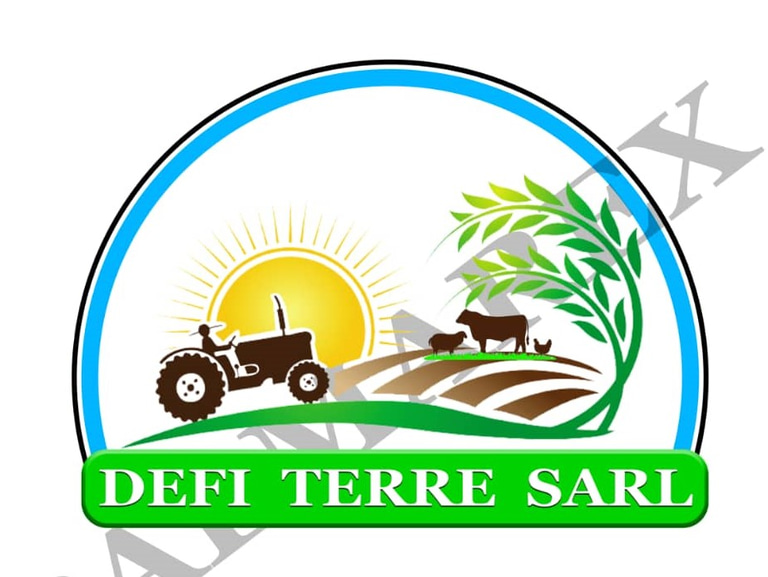 DEFI-TERRE-SARL logo
