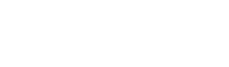 WarmLightStudios logo