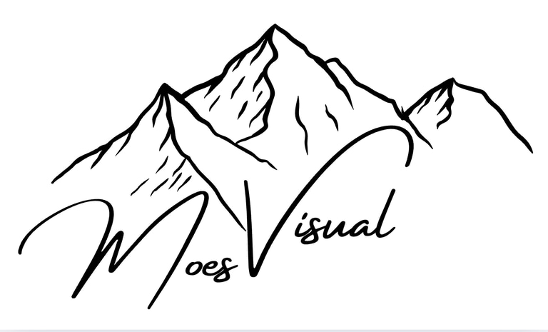 Moes Visual logo