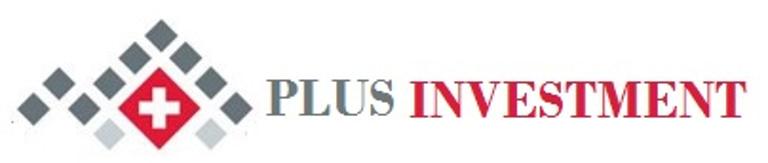 PLUS INVESTMENT AG logo