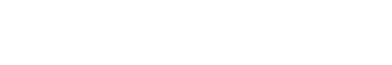 FOLIOPIRO.pl logo