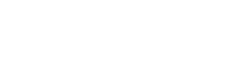 Detailing Fino logo