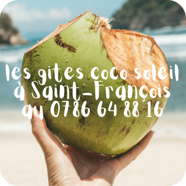 Les gites coco soleil en guadeloupe logo