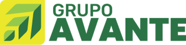 Grupo Avante logo