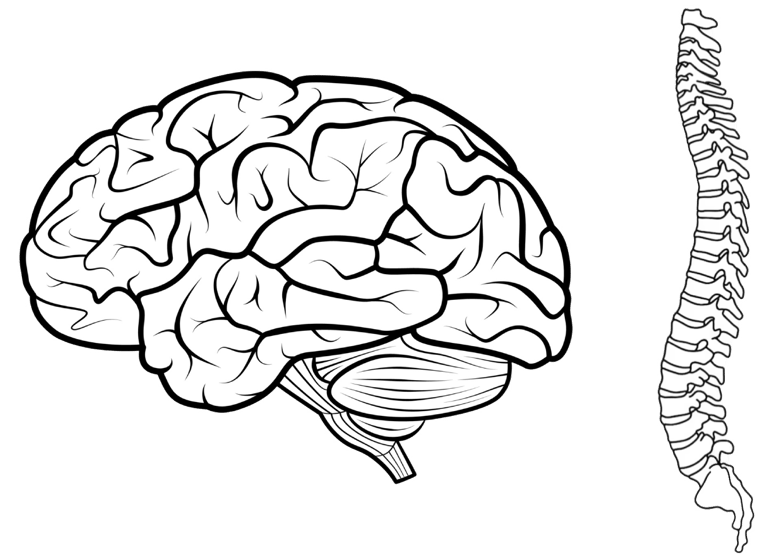 Neurochirurg Salzburg logo