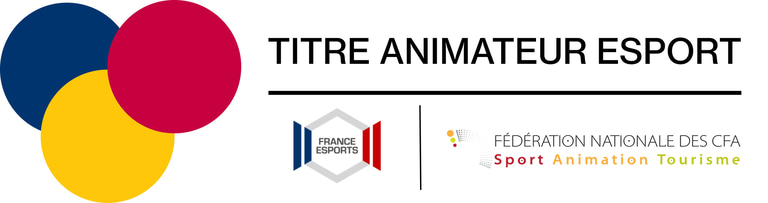 Animateur Esports logo