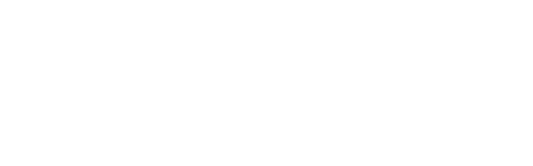 BridLink Agency | Diseño & Marketing logo