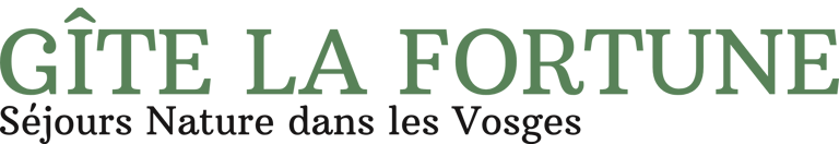 Gîte La Fortune logo