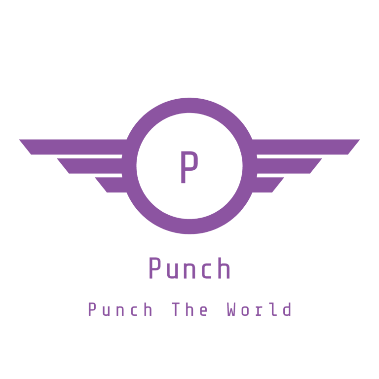 PUNCH GLOBAL HOLDINGS logo