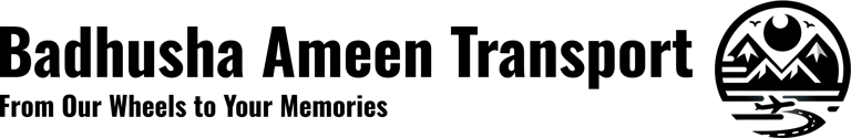 BADHUSHA AMEEN TRANSPORT & TOUR logo