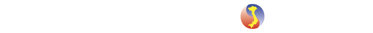 Vovinam Viet Vo Dao Noiseau 94 logo