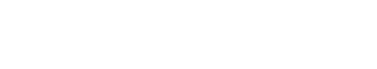 Metalolazeris logo
