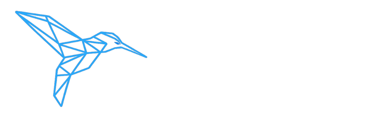 CNV Consulting logo