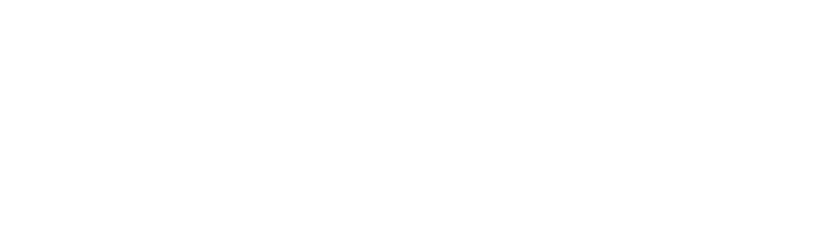 ANNAS 17 logo