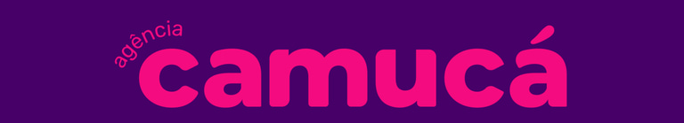 Agência Camucá logo