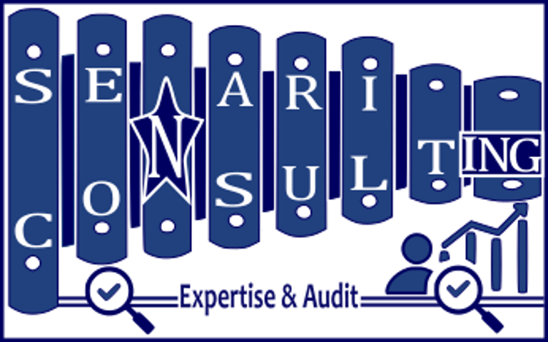 SENARI CONSULTING Expertise & Audit logo