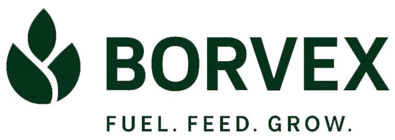Borvex Ltd logo