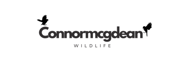 connormcgdeanwildlife logo
