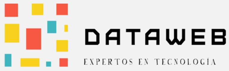 DataWeb logo
