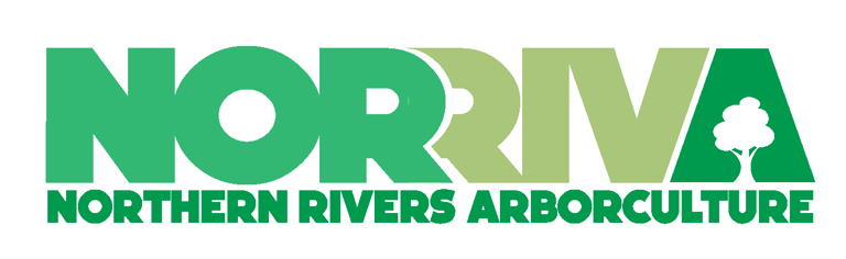 NORRIVA logo