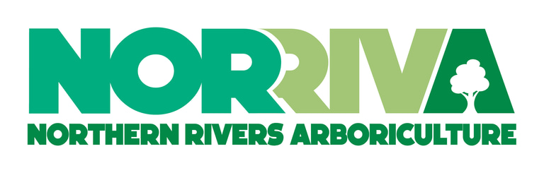 NORRIVA logo