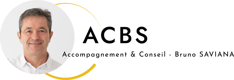 Bruno Saviana logo