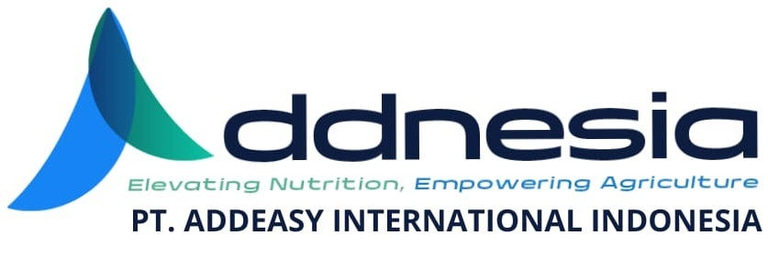 PT Addeasy International Indonesia logo