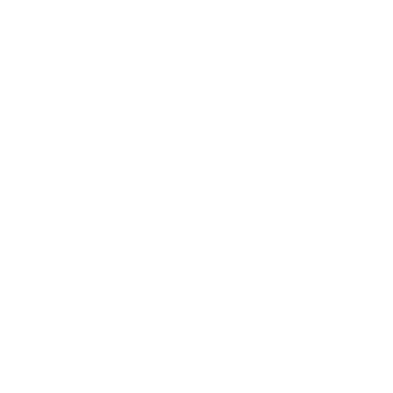 Zing's Botanicals logo