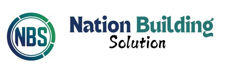 Nation Building Solution logo