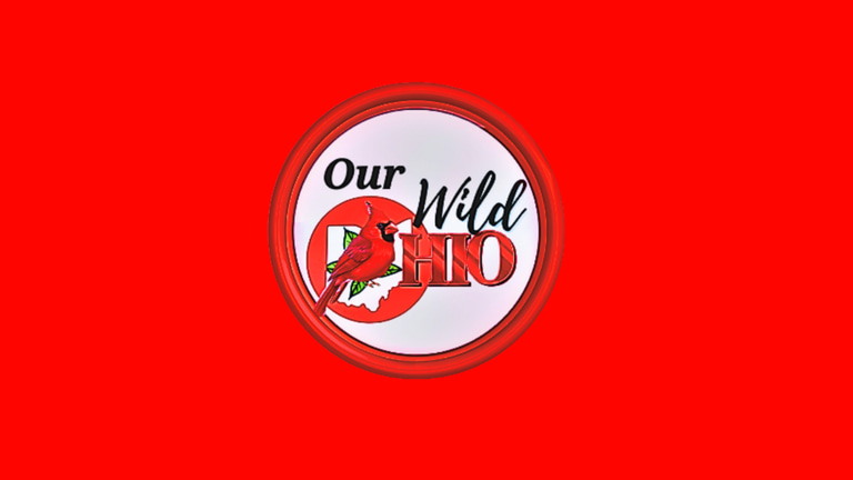 Our Wild Ohio logo