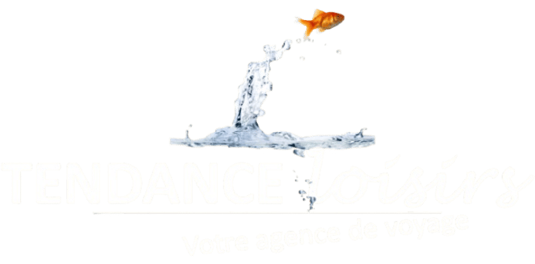 Tendance Loisirs logo