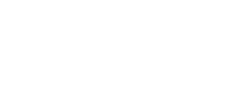 ALA Pasión por la Logística logo
