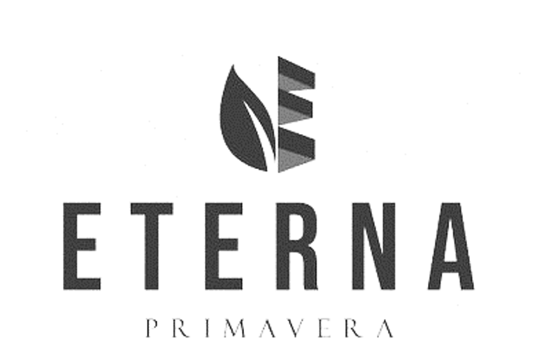 ETERNA logo