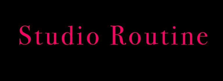 D Michael Studio logo