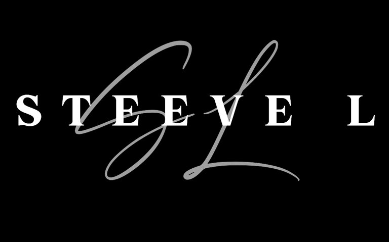 Visuals by Steeve L. logo