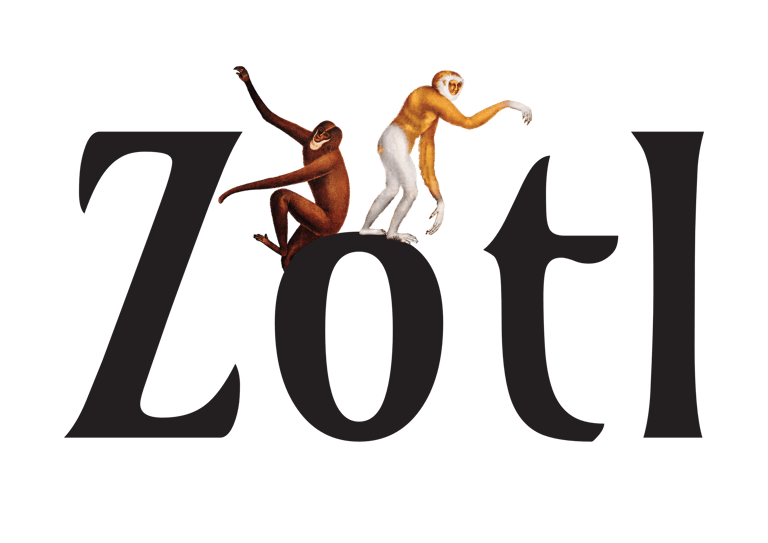 Aloys Zötl logo