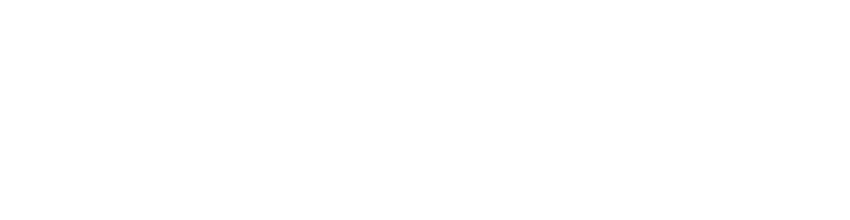 PUBLIPUSH logo