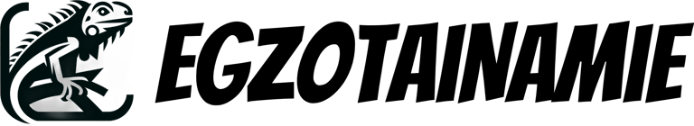 egzotainamie logo