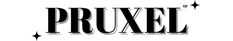 Pruxel logo