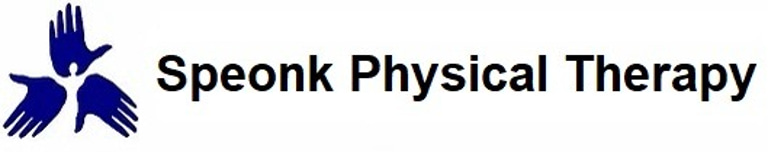 Physical Therapy logo