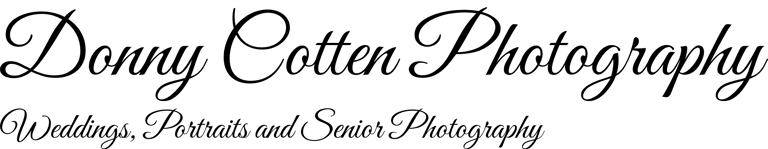 Lasting Love Studios logo