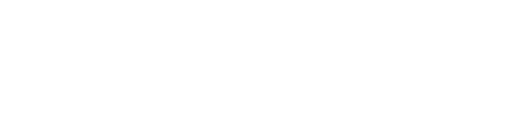 BlueNexa logo